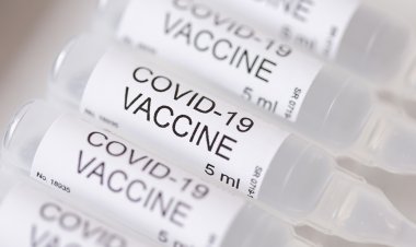 Las vacunas COVID-19 causa de exceso de mortalidad en todo el mundo