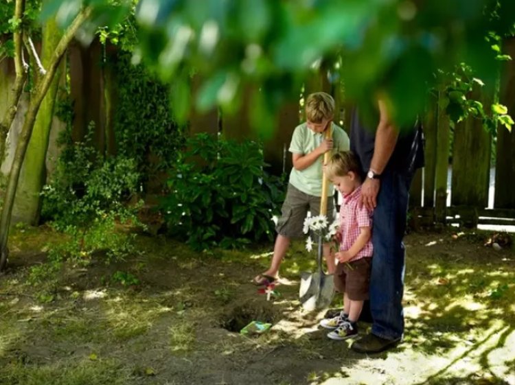 ¿Cómo afrontar el duelo por la muerte de una mascota?