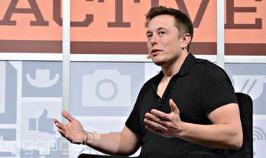 Elon Musk acusado de "mutilar y matar monos" en horripilantes experimentos de Neuralink