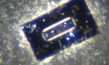 LA VERDAD DEL CONTENIDO DE LAS SUPUESTAS VACUNAS Covid-19