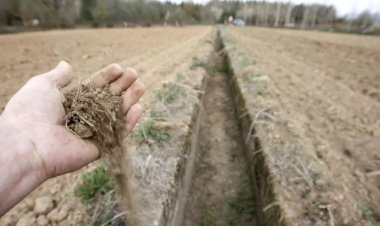 La verdad del cambio climatico