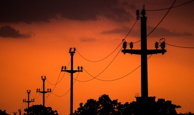 El experimento verde se convierte en un desastre