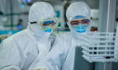 El fraude estadístico impuso una falsa pandemia