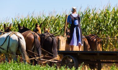 Aprende a vivir sin electricidad