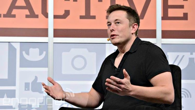 Elon Musk acusado de "mutilar y matar monos" en horripilantes experimentos de Neuralink