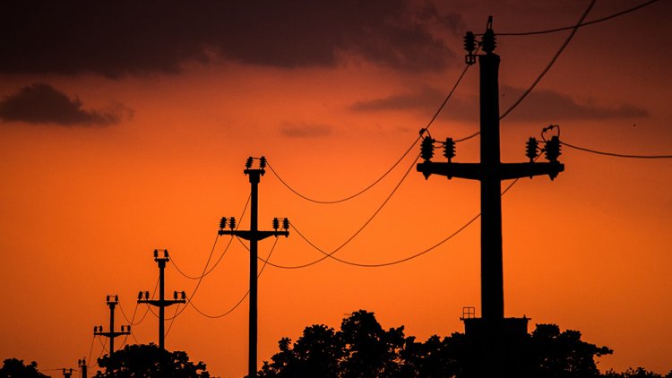 El experimento verde se convierte en un desastre