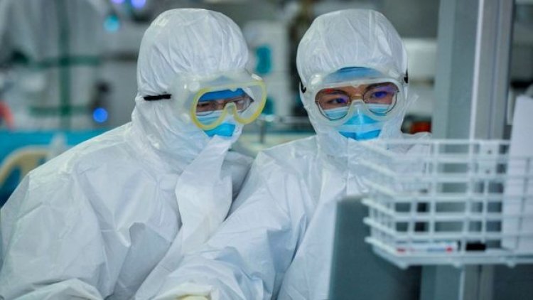 El fraude estadístico impuso una falsa pandemia