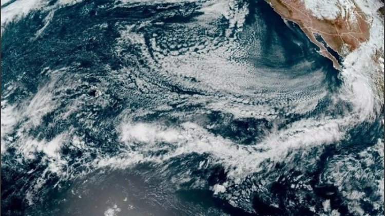 La Tierra podría enfrentar una extinción masiva