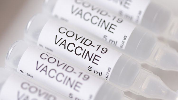 El parlamento alemán pide una investigación completa sobre las lesiones y muertes por las vacunas covid