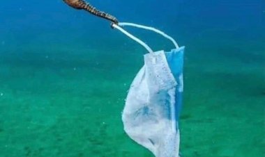 Utilidad de las mascarillas - La verdad