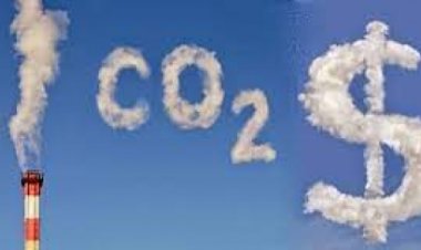 Reducir las emisiones de carbono es una estafa