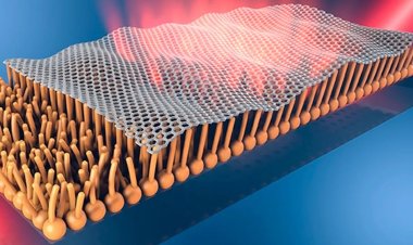 El grafeno viaja a través del cuerpo humano