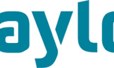 ¿Qué debo tener en cuenta antes de realizar un viaje en un coche eléctrico?