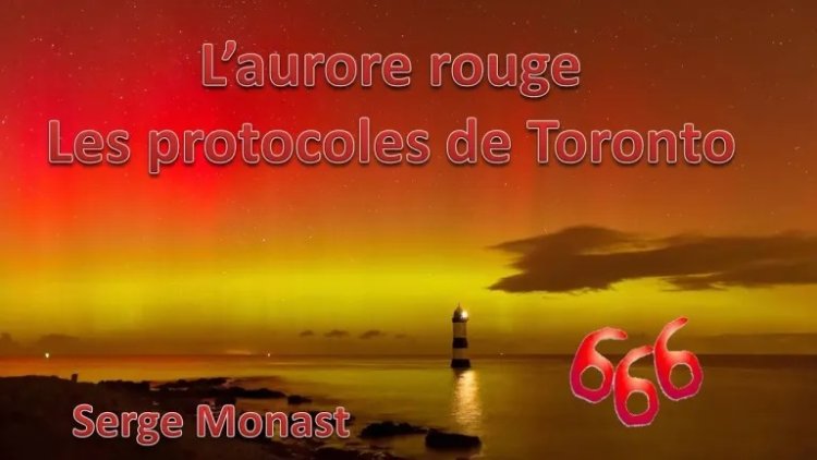 PROTOCOLO DE TORONTO – el documento que todos deben conocer