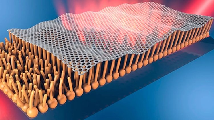 El grafeno viaja a través del cuerpo humano