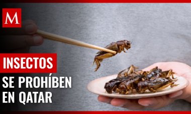 Qatar prohibe el consumo de insectos