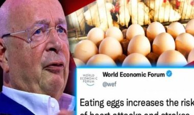 Quieren prohibir los huevos