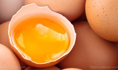 Las yemas mitigan naturalmente el Covid 19