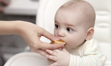 El plan...las galletas y otros 21 productos que comera tu hijo contendrán larvas de escarabajo del estiércol