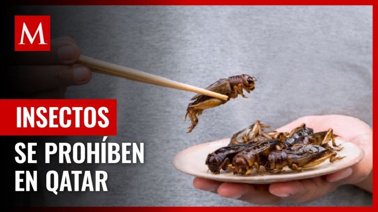 Qatar prohibe el consumo de insectos