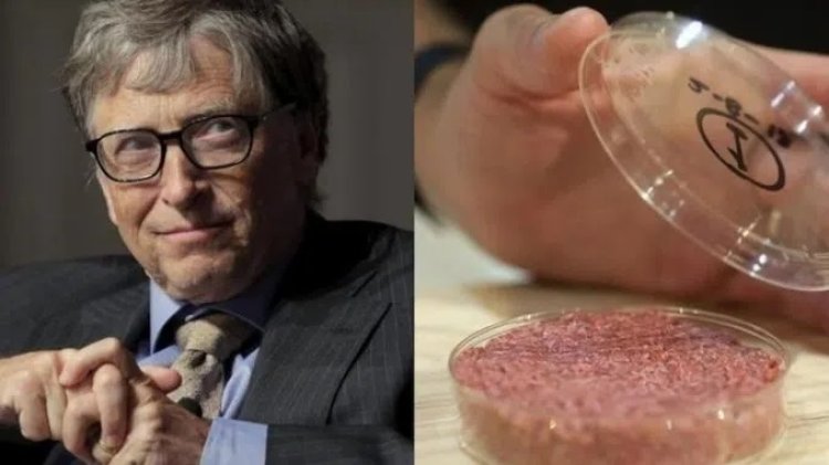 La carne OMG de Bill Gates causa cáncer