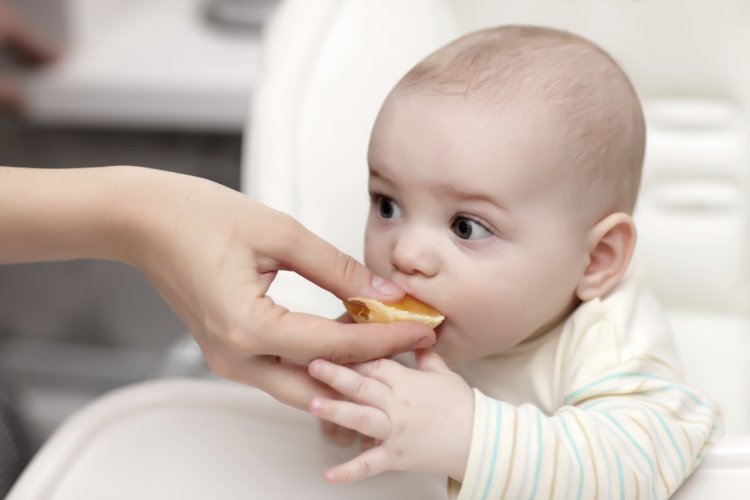 El plan...las galletas y otros 21 productos que comera tu hijo contendrán larvas de escarabajo del estiércol