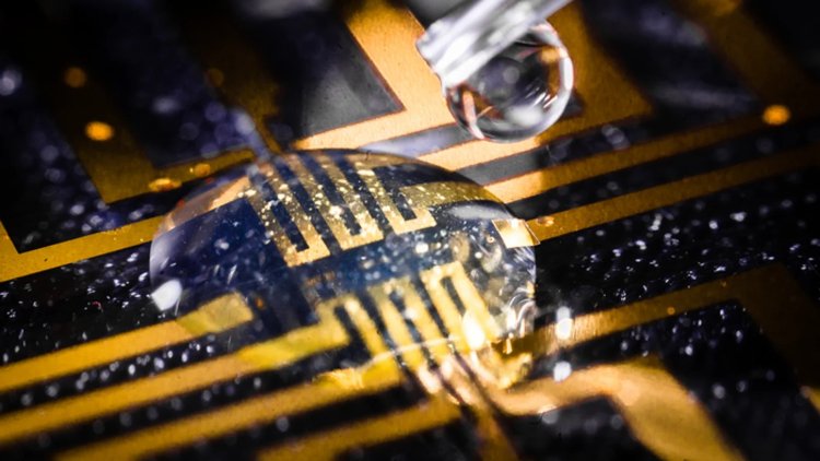 Logran hacer crecer electrodos en el cerebro