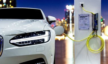 Pesadilla logística