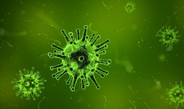 Un nuevo virus que ataca el hígado