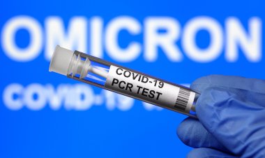 Las pruebas de PCR covid son una estafa