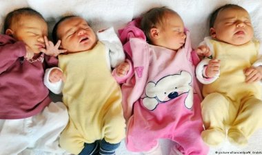 Conspiración contra los bebés