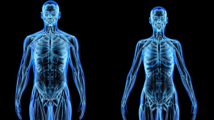 El cuerpo humano como central eléctrica