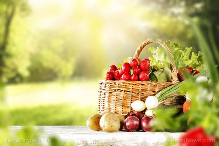 Consejos para almacenar alimentos