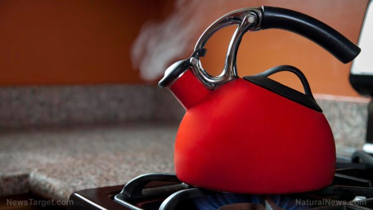 Estan tratando de prohibir las estufas de gas