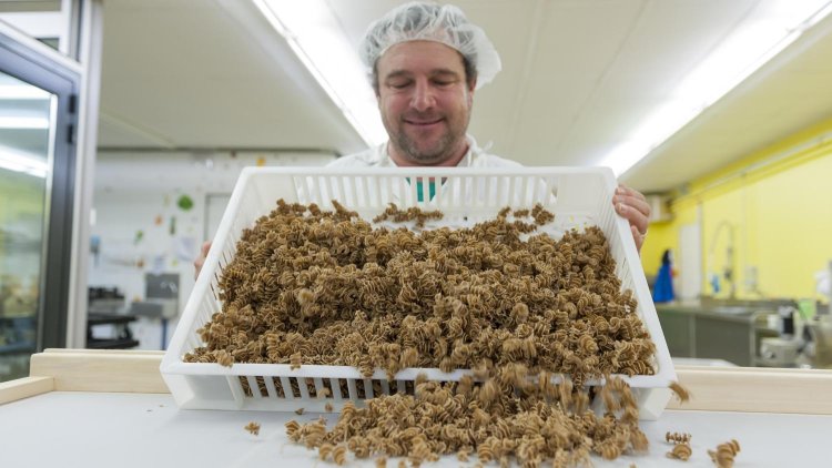 Los italianos se niegan a "comer bichos"