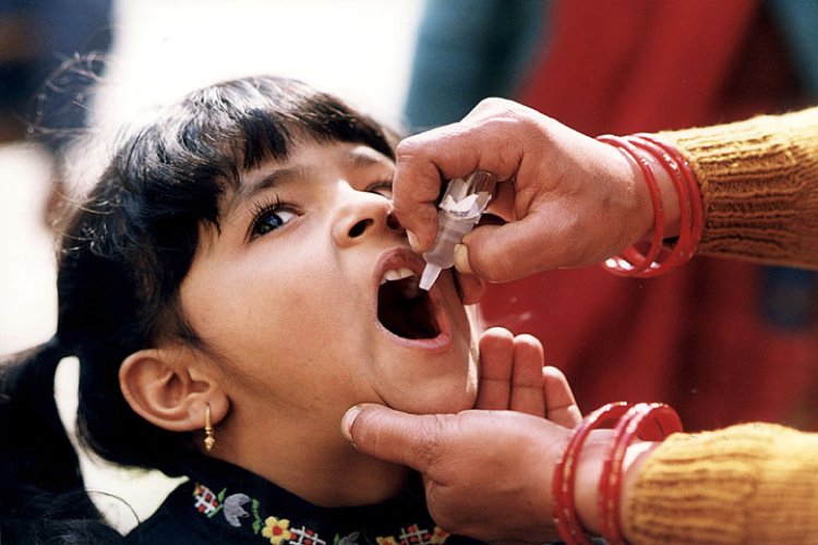 Brote de poliovirus derivado de la vacunas