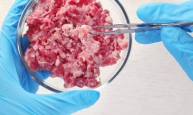 Italia prohibirá la CARNE FALSA y otros alimentos sintéticos