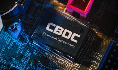 Australia lanza CBDC con créditos de carbono