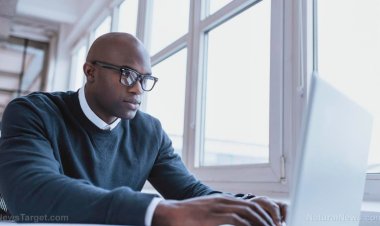 Cómo evitar estafas comunes en Internet