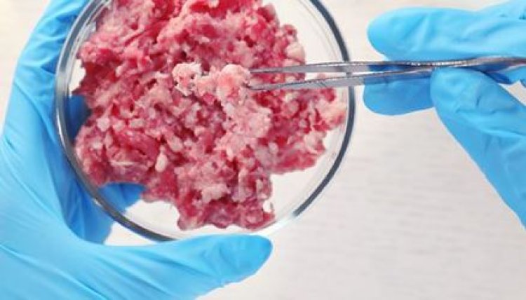 Italia prohibirá la CARNE FALSA y otros alimentos sintéticos