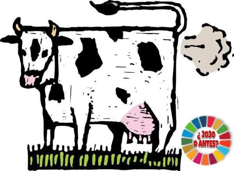 Alimentar a las vacas con supresores de metano