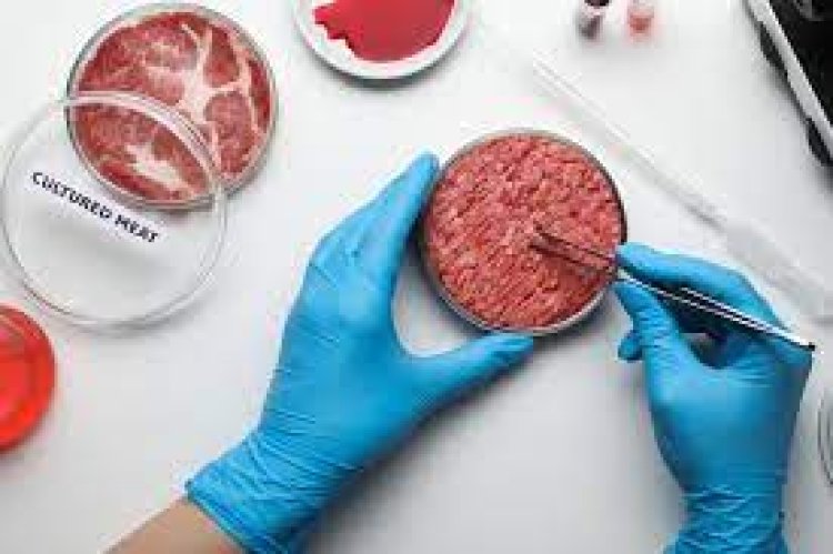 Alimento para la raza de Frankenstein