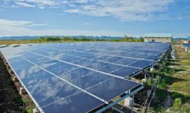 Energía verde sostenible es un eufemismo para la despoblación