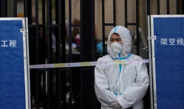 La verdad sobre el Covid