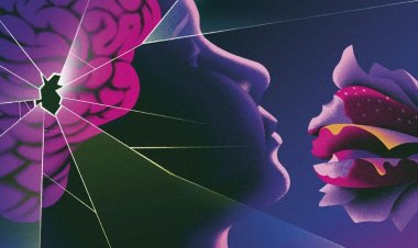 Los alimentos ultraprocesados han fallado en su salud mental. Esto es lo que puedes hacer al respecto