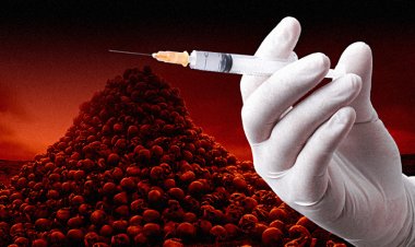 ¡Cómo engañaron al mundo?