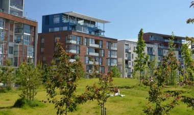 Aprobada ley expropiación de terrenos, viviendas y fincas