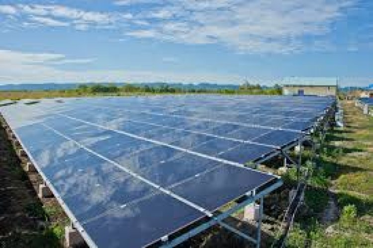 Energía verde sostenible es un eufemismo para la despoblación