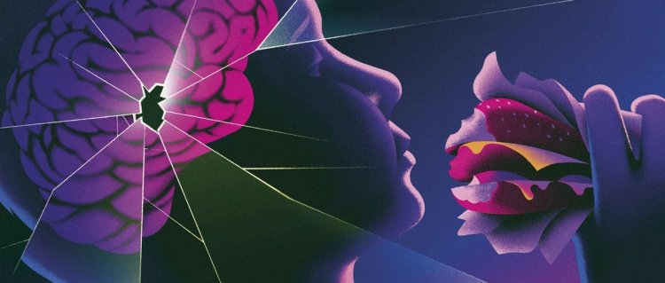 Los alimentos ultraprocesados han fallado en su salud mental. Esto es lo que puedes hacer al respecto