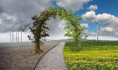 No hay emergencia climática